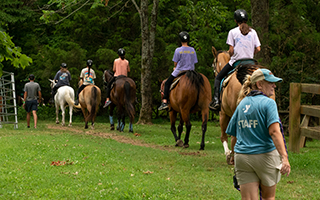 a group trail riding