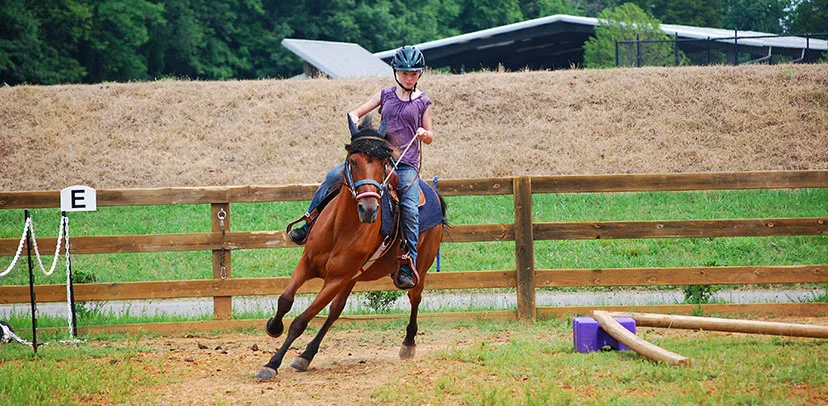 Equestrian Programs Joe C. Davis YMCA Outdoor Center