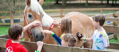 Summer Ranch Camp at Camp Widjiwagan, Nashville, TN