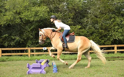 CAMP-20-CLASSES-equestrian