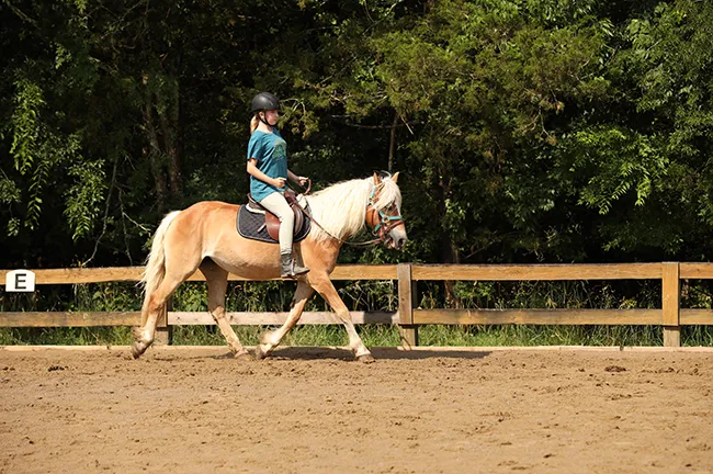 woman riding horse