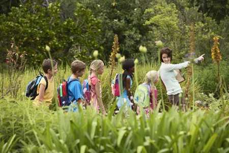 teacher walking students through a nature area
