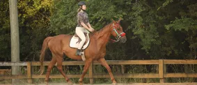 Girl riding horse