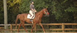 Girl riding horse