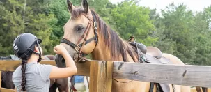 Camper grooms her horse from behind a fence.